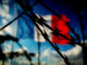 Loi immigration et OQTF