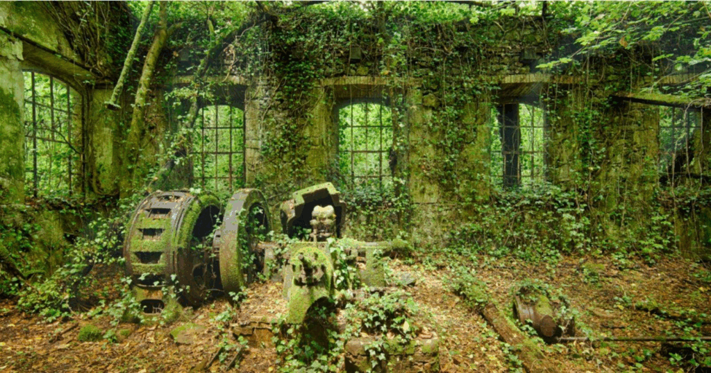 Nature reprend ses droits
