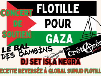 Visuel réseaux concert de soutien